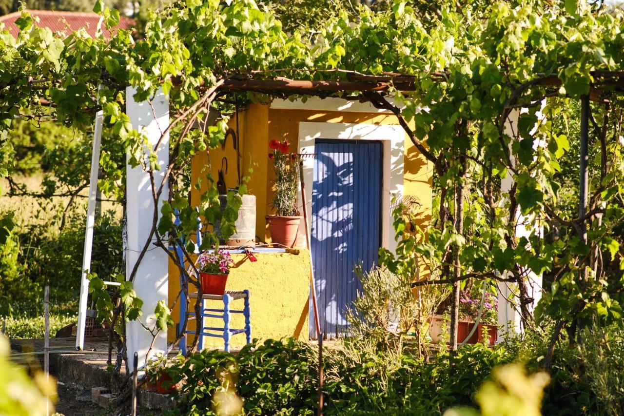Villa Doreta Roda  Bagian luar foto