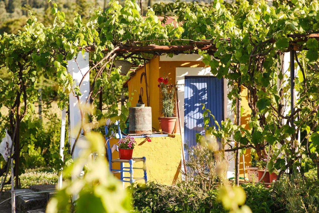 Villa Doreta Roda  Bagian luar foto